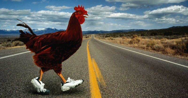 Descubre la Emoción del Juego en la Ruta del Pollo en España in Spain