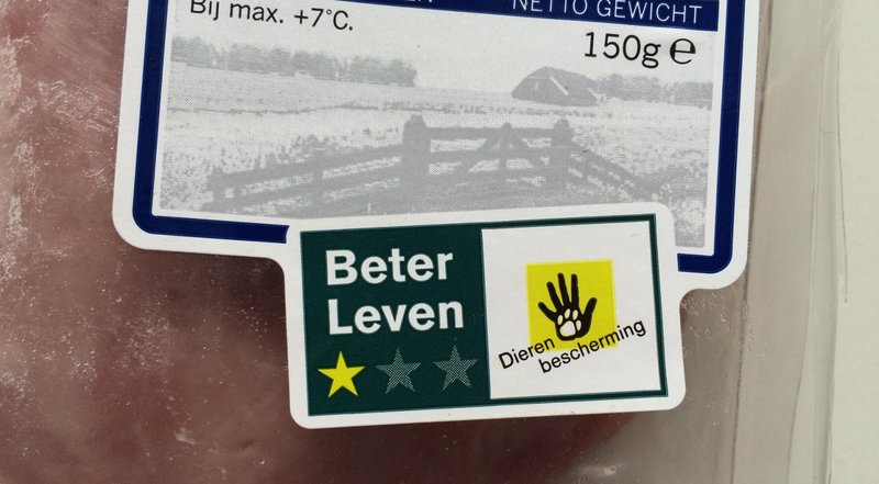 Netherlands - chicken road demo